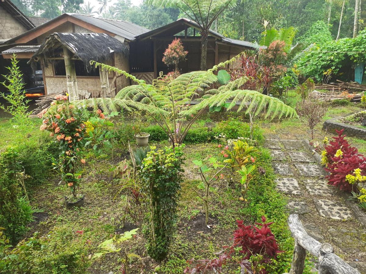 Ijen Miner Family Homestay Banyuwangi  Exterior foto